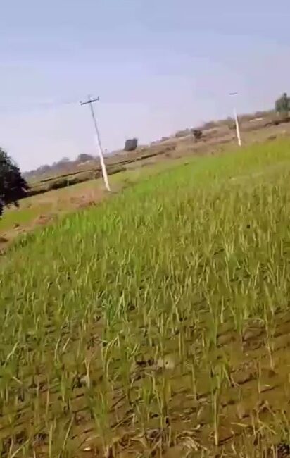 WhatsApp-Image-2023-01-27-at-10.55.03-AM
