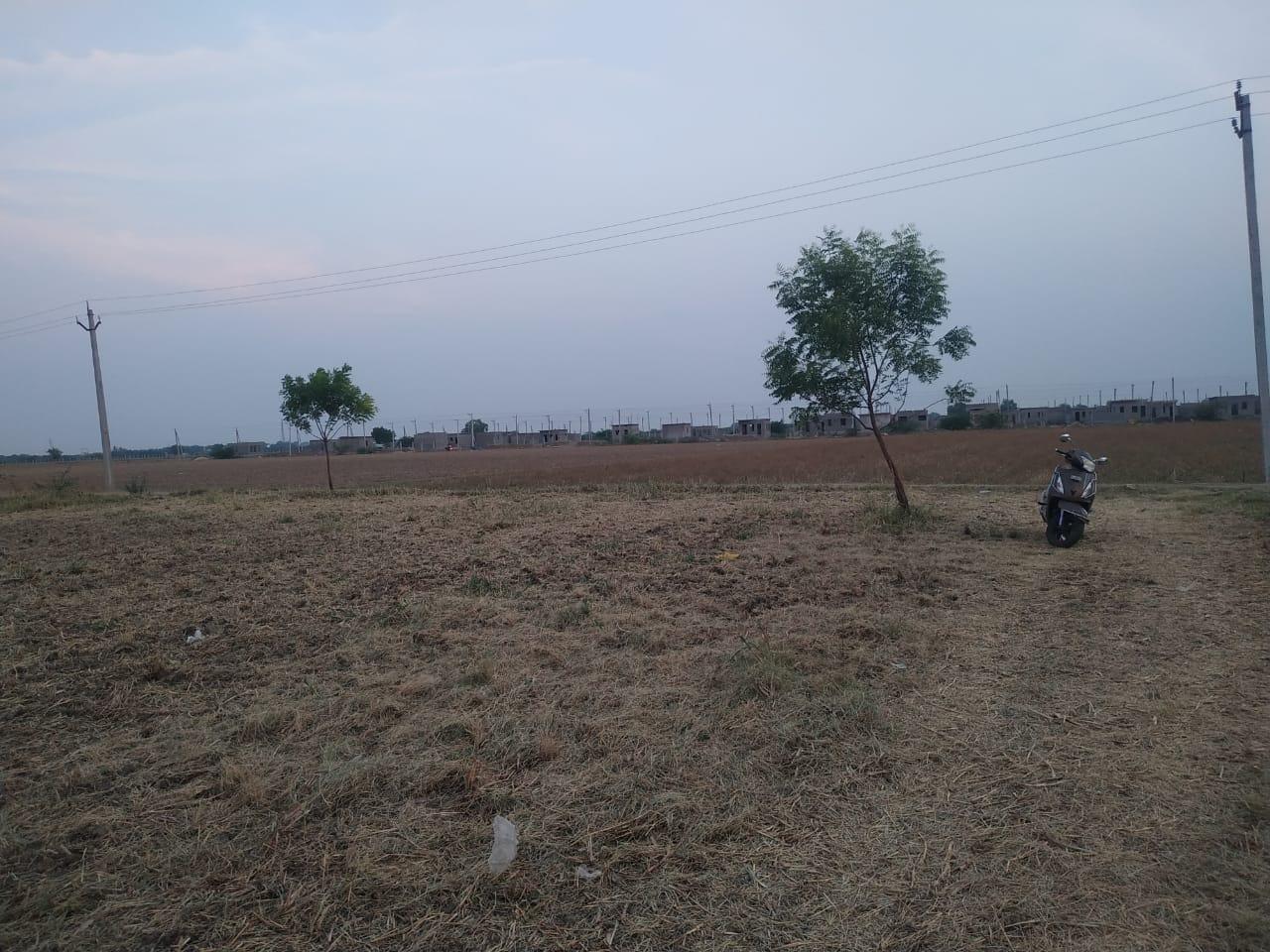 IMG-20230527-WA0016