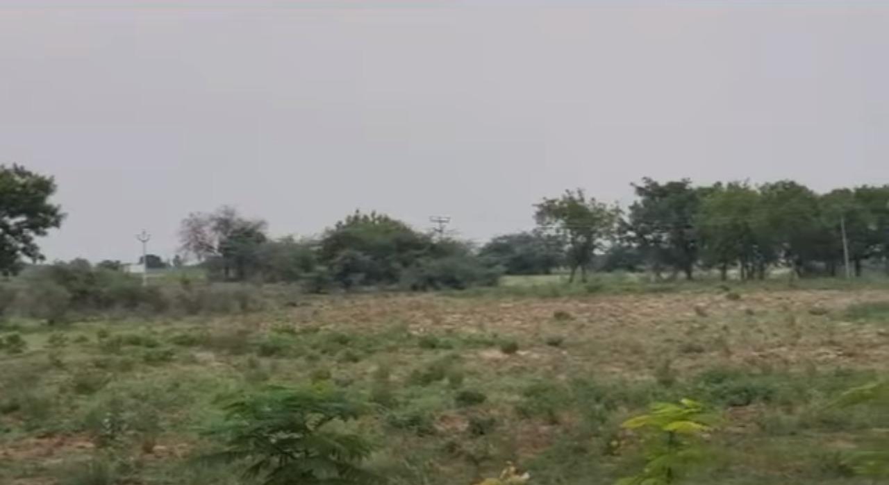 WhatsApp-Image-2023-06-10-at-12.07.07-PM