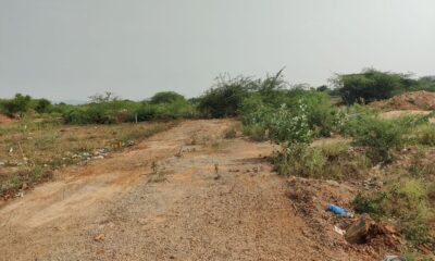 Land for sale in chittoor gudipala