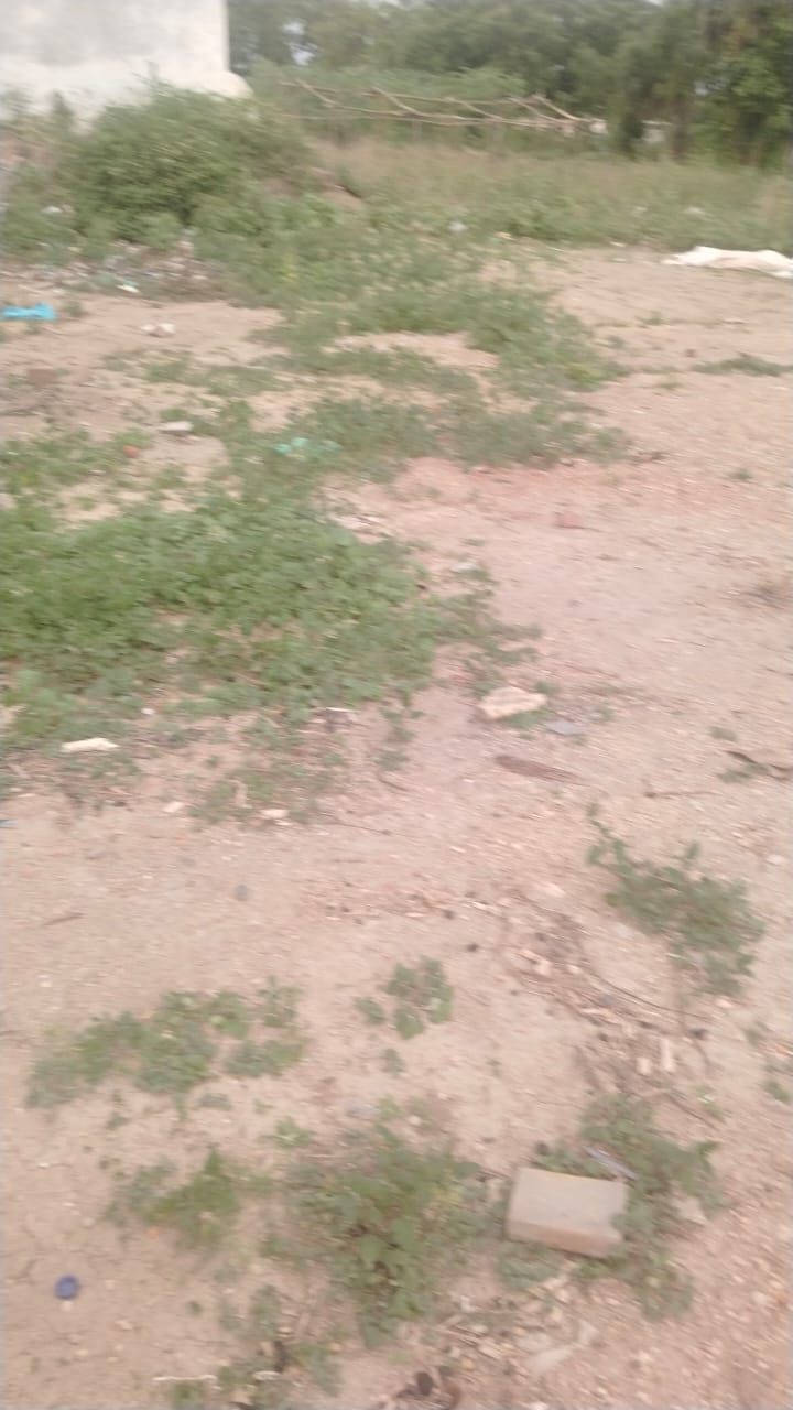 WhatsApp-Image-2024-06-22-at-12.18.57