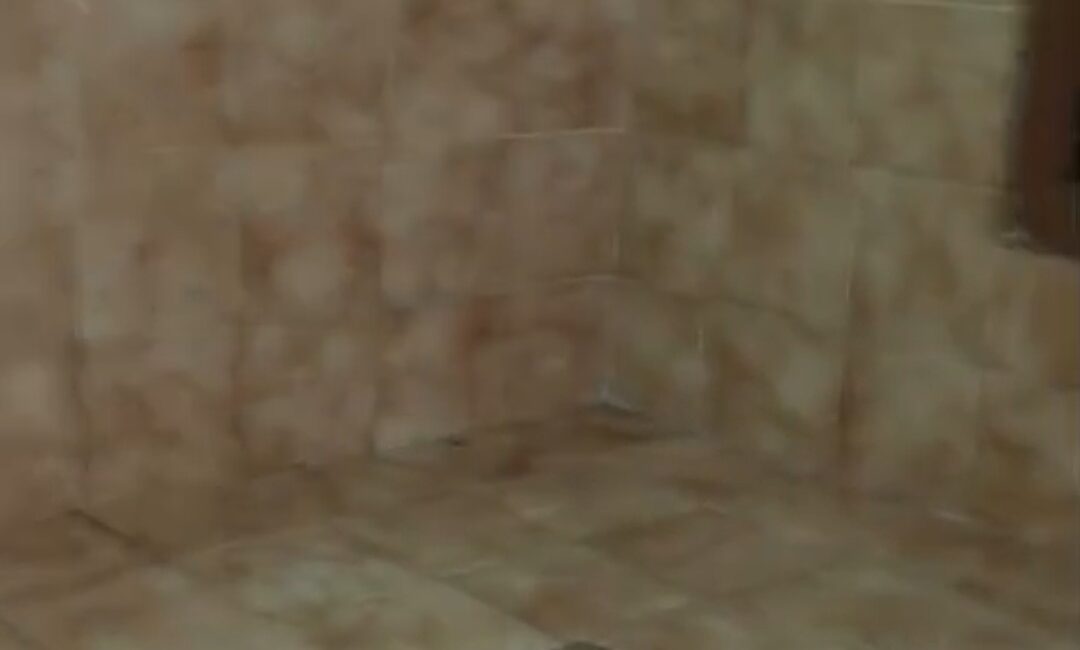 Screenshot_2025-04-06-18-18-17-22_99c04817c0de5652397fc8b56c3b3817